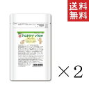 【クーポン配布中】 ノラ・コーポレーション ハッピービュー 20g×2個セット まとめ買い 犬 サプリメント ルテイン配合