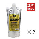 中央有機化学 AW78アメイジングリラクサー500g (0.5L) ×2個セット まとめ買い トリートメント 酵素 サロン 美容室(4)