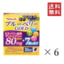 【クーポン配布中】 ヤクルトヘルスフーズ ブルーベリーゴールド(450mg×60粒)×6箱セット まとめ買い サプリ ビタミンA