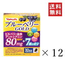 【クーポン配布中】 ヤクルトヘルスフーズ ブルーベリーゴールド(450mg×60粒)×12箱セット まとめ買い サプリ ビタミンA