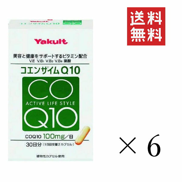 ヤクルトヘルスフーズ コエンザイムQ10(283mg×60カプセル)×6個セット まとめ買い サプリ 美容 ビタミン