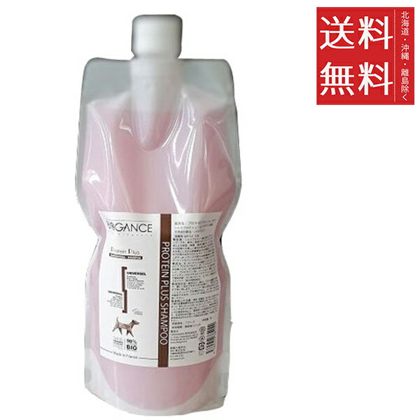 INO BIOGANCE バイオガンス プロテインプラスシャンプー 犬用 1L 業務用 大容量 低刺激
