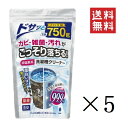 【!!クーポン配布中!!】 【即納】紀陽除虫菊 非塩素系 洗濯槽クリーナー 750g×5個セット まとめ買い 除菌 消臭 プロ仕様 生乾き臭