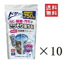 【人気商品】紀陽除虫菊 非塩素系 洗濯槽クリーナー 750g×10個セット まとめ買い 除菌 消臭 プロ仕様 生乾き臭