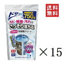 【人気商品】紀陽除虫菊 非塩素系 洗濯槽クリーナー 750g×15個セット まとめ買い 除菌 消臭 プロ仕様 生乾き臭