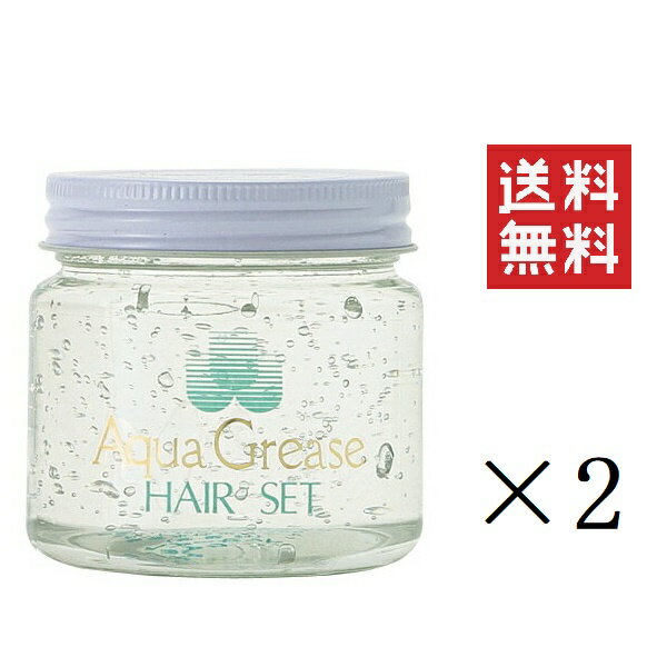 【イチオシ】パール化研 アクアグリース ヘアーセット ソフト 160g×2個セット まとめ買い ウォーターポマード ウェット感 無着色 無香料