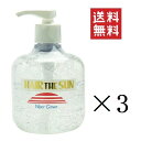 中央有機化学 エポラール ヘアー・ザ・サン ウォーターグリース 300g×3個セット まとめ買い 水性ポマード ポンプ スタイリング サロン 美容室