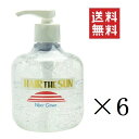 中央有機化学 エポラール ヘアー・ザ・サン ウォーターグリース 300g×6個セット まとめ買い 水性ポマード ポンプ スタイリング サロン 美容室
