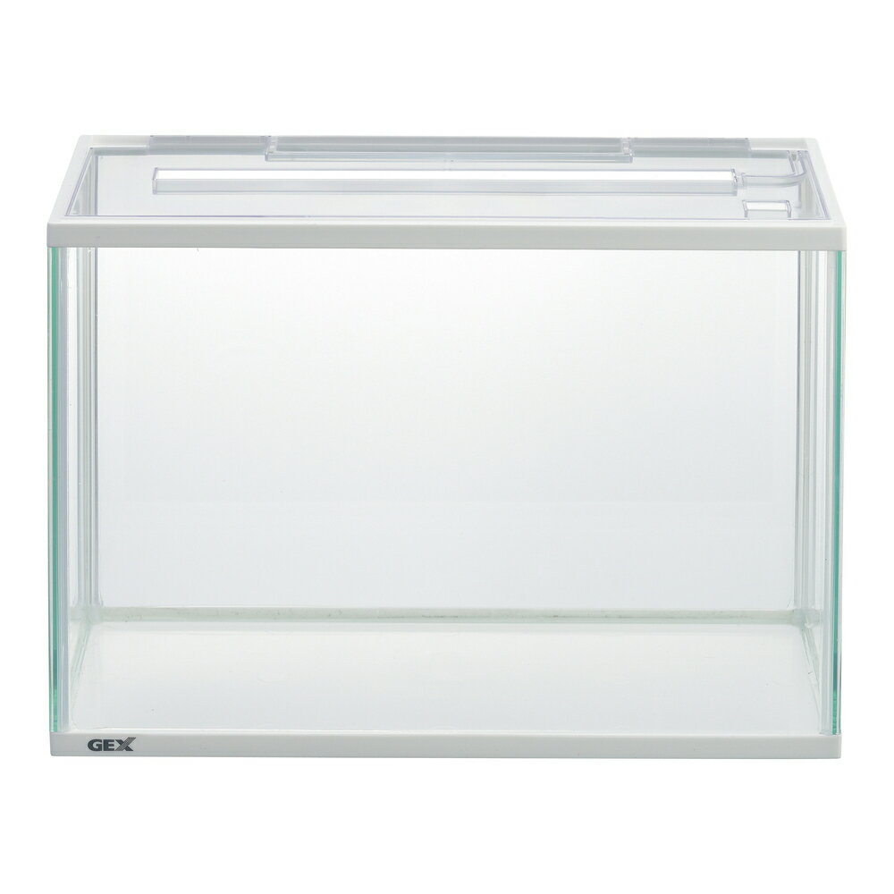 �����å��� �����å����ޥ꡼�ʥ����L����ۥ磻��