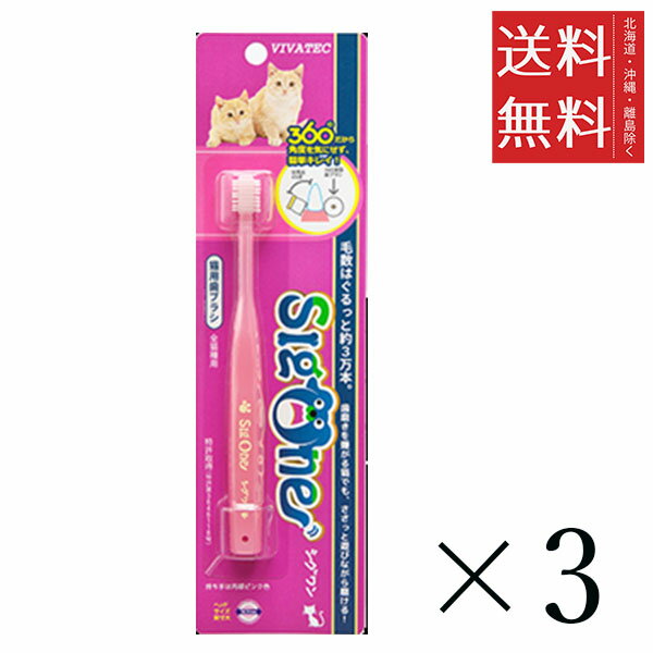 【メール便/送料無料】ビバテック シグワン 猫用歯ブラシ×3本セット まとめ買い 360°ヘッドブラシ 黄ばみ 汚れ 歯石取り 歯石 除去 歯磨き粉 歯周病