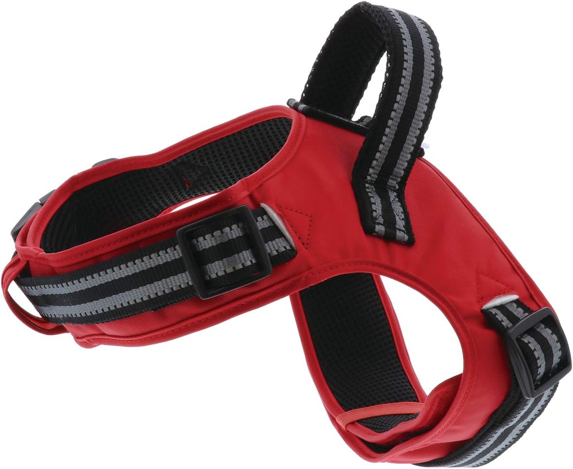 ��3�ĥ��åȡۥڥƥ��� �ڥƥ�����֥ϡ��ͥ�SS��å�