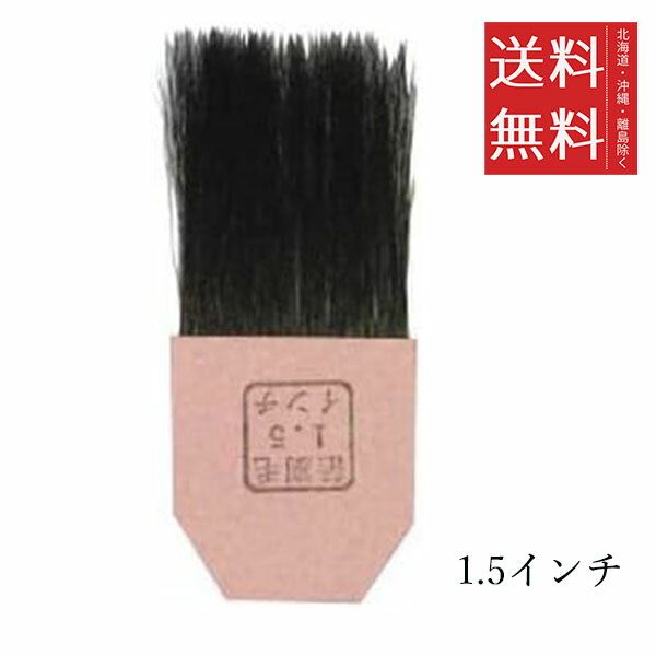 ڥ᡼/̵ۥۥ٥ Ѷ PG626  1.5ʹ񻺡