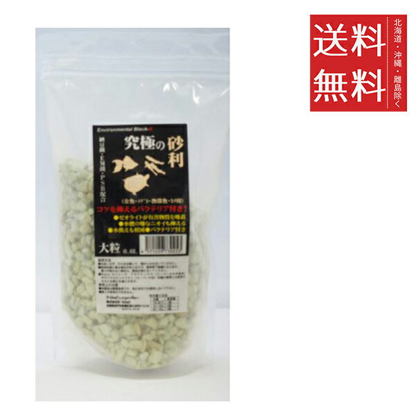 ビーブラスト B-blast 究極の砂利 大粒 2L 水槽 観賞魚 アクアリウム 底砂