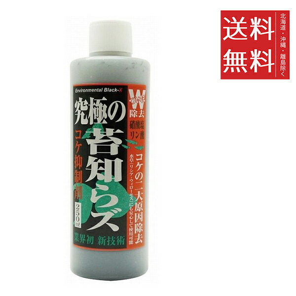 【6個セット】ビーブラスト B-blast 究極の苔知らず リキッド 250ml