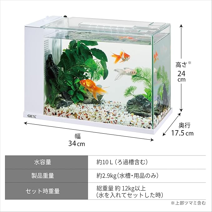 �����å��� ��������ۥ磻��