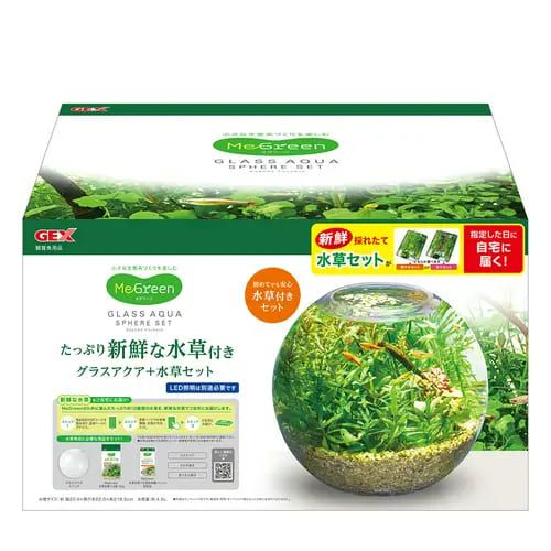 �����å��� MeGreen�������ʿ����դ������饹���������ե������å�