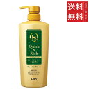 【2個セット】ライオンペット クイック&リッチ トリートメントインシャンプー 愛犬用 フォレストグリーン ポンプ 450ml