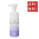 【3個セット】QIX BASICS DermCare モイスチャライズ フォーム 150g 犬用 泡タイプ 保湿 スキンケア