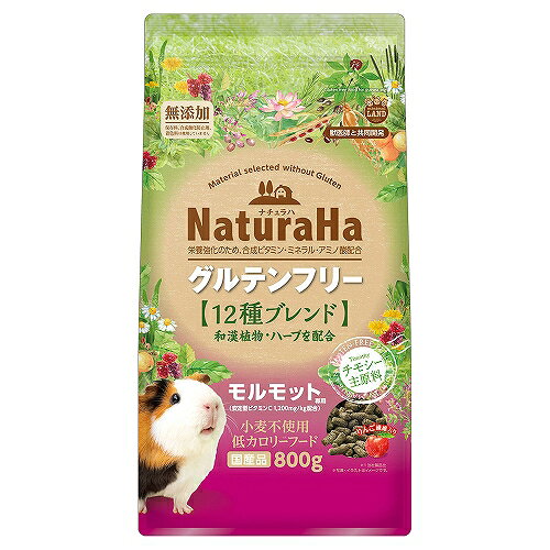 樂天商城 - 【3個セット】 株式会社マルカン ナチュラハ　グルテンフリー　12種ブレンド　モルモット800g