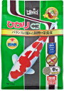 【3個セット】 キョーリン ひかり中粒 1.2kg