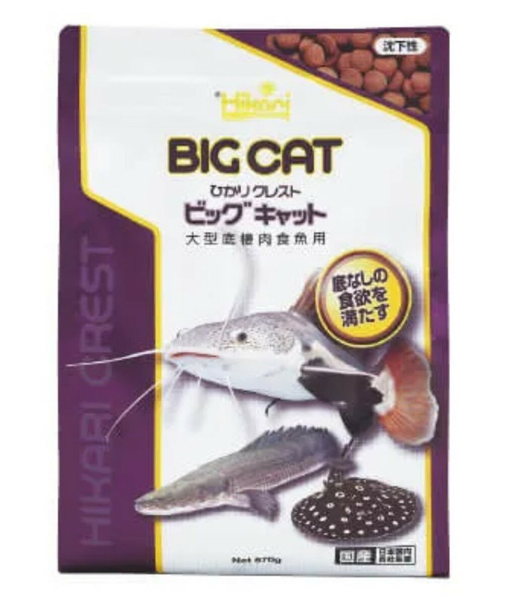 【6個セット】 キョーリン　ひかりクレスト ビッグキャット 570g