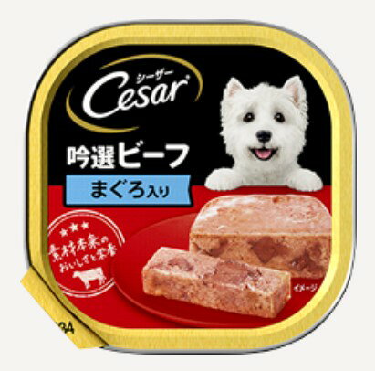 【24個セット】 マースジャパンリミテッド シーザー吟選ビーフまぐろ入り100g