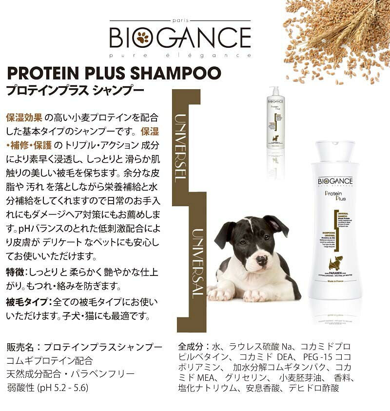 INO BIOGANCE バイオガンス プロテインプラス シャンプー 250ml パラベンフリー 弱...