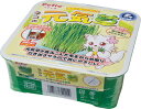 【ポイントUP対象商品】 【6個セット】ペティオ ペティオネコの元気草