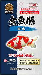 【注意事項】 ・メーカーの都合等により、パッケージ及び内容量、生産地、などが変更される場合がございます。ご了承ください。 ・当店では地球環境への配慮およびお手頃価格での商品の提供のため、簡易的な梱包とさせていただいております。 ・箱潰れなど、製品をご利用いただくのに問題がない場合の返品・交換対応はお受けできません ※期限のある商品について ・賞味期限や消費期限がある商品については、すべて期限まで2ヶ月以上のものを取り扱っております。個別のお問い合わせはご遠慮いただきますようお願い申し上げます。 ・期限が迫った商品は、別途アウトレット商品として販売させていただいております。 商品説明■　商品特徴●金魚の成長に必要な栄養をバランスよく配合しました。色々な種類の金魚に対応します。 4975677040535■　原材料小麦粉・フィッシュミール・オキアミミール・大豆油かす・米ぬか・黒酵母β-グルカン・トルラ酵母・トヨセリン・ビタミン類（A、D3、E、K3、B1、B2、ニコチン酸、B6、パントテン酸、B12、ビオチン、C、コリン、イノシトール、葉酸）・ミネラル類（炭酸マンガン、硫酸鉄、硫酸銅、硫酸コバルト、炭酸亜鉛）■　メーカーニチドウ■　広告文責 ライフジェネレーション株式会社 TEL:06-6809-2484