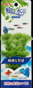 ジェックス 【3個セット】ジェックス癒し水景アンブリアS