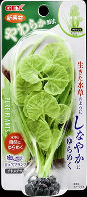 【24個セット】ジェックス癒し水景ピュアプランツチドメグサ