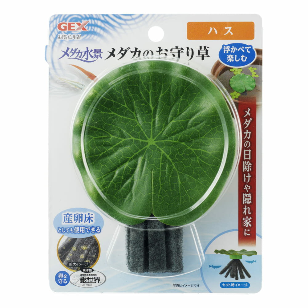 【24個セット】ジェックスメダカ水景メダカのお守り草ハス