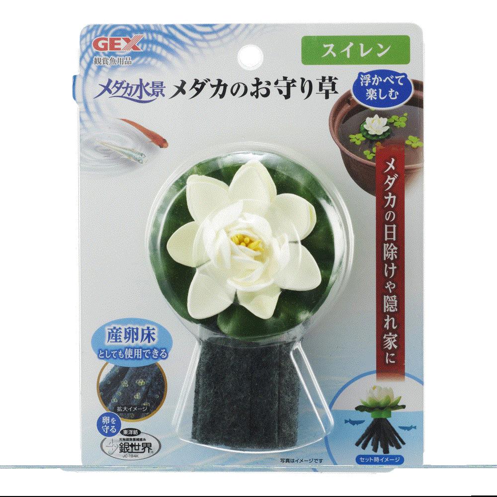 【6個セット】ジェックスメダカ水景メダカのお守り草スイレン