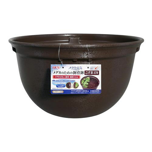 【2個セット】ジェックス ジェックスメダカ元気メダカのための飼育鉢こげ茶37037cmこげ茶