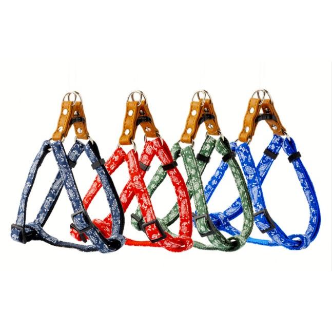 リードッグ 【3個セット】LEADOGペイズリーカンタンハーネスSブルー