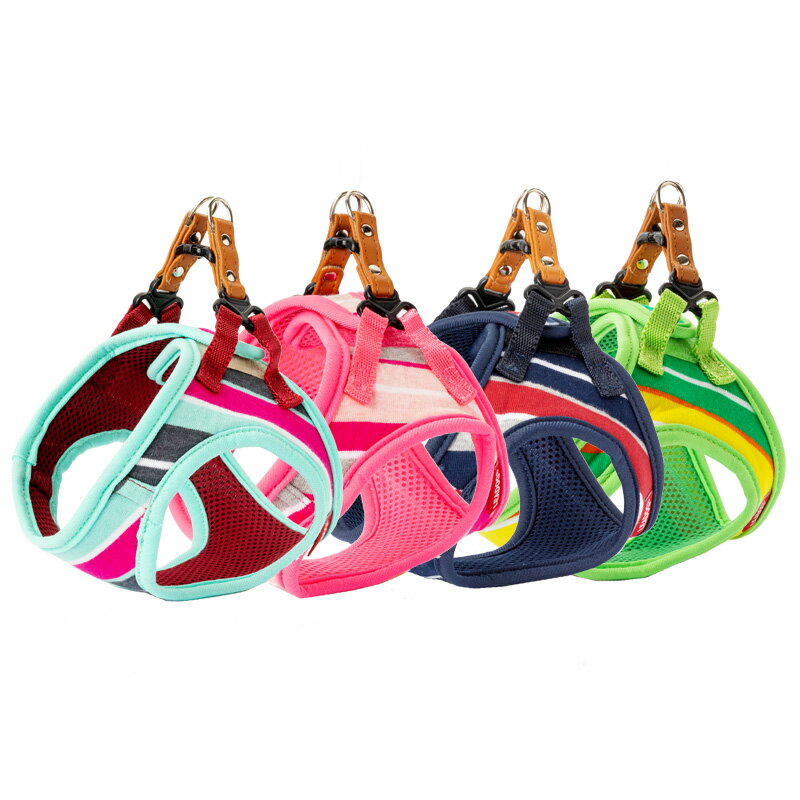 リードッグ 【2個セット】LEADOGパステルボーダーソフトハーネスSSミント