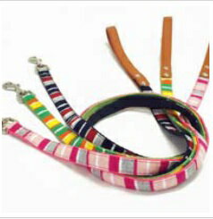 【2個セット】リードッグ LEADOGパステルボーダーリードMミント