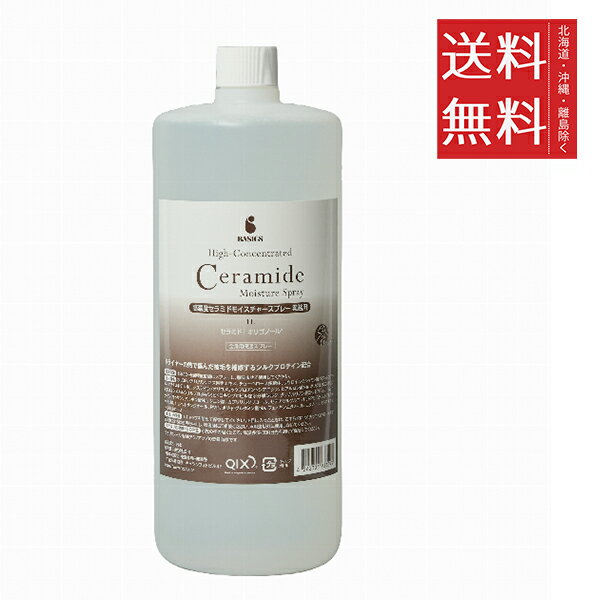 【3個セット】BASICS 高濃度セラミドモイスチャースプレー 業務用 1L(1000mL) 犬用 スキンケア 保湿