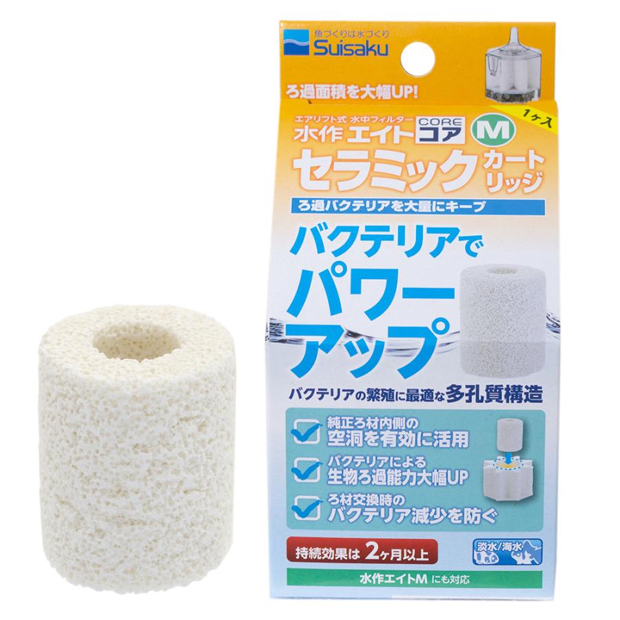 ��� ��40�ĥ��åȡۿ�� �����ȥ����ȥ���M����ߥå������ȥ�å�