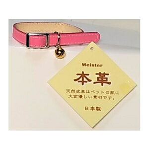 【5個セット】カワノ産業 マイスター Wレザー CAT カラー #10 チェリー