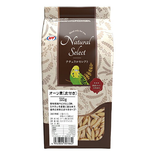 【12個セット】ナチュラルペットフーズ ナチュラルセレクト　オーツ麦（皮付き） 500g