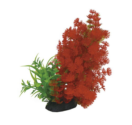 ��3�ĥ��åȡ� PON-�ʤ���ߥå���E