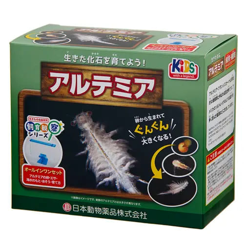 ニチドウ 【2個セット】飼育観察セット　アルテミア