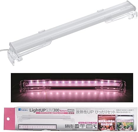 ��2�ĥ��åȡۥ饤�ȥ��å� SLIM�ʥ����300 �ۥ磻��