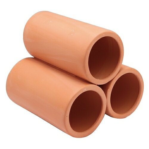 �����å��� ��12�ĥ��åȡ� ������ʡ��ǾƤ��α���ȴ��ڴɾ�3Ϣ