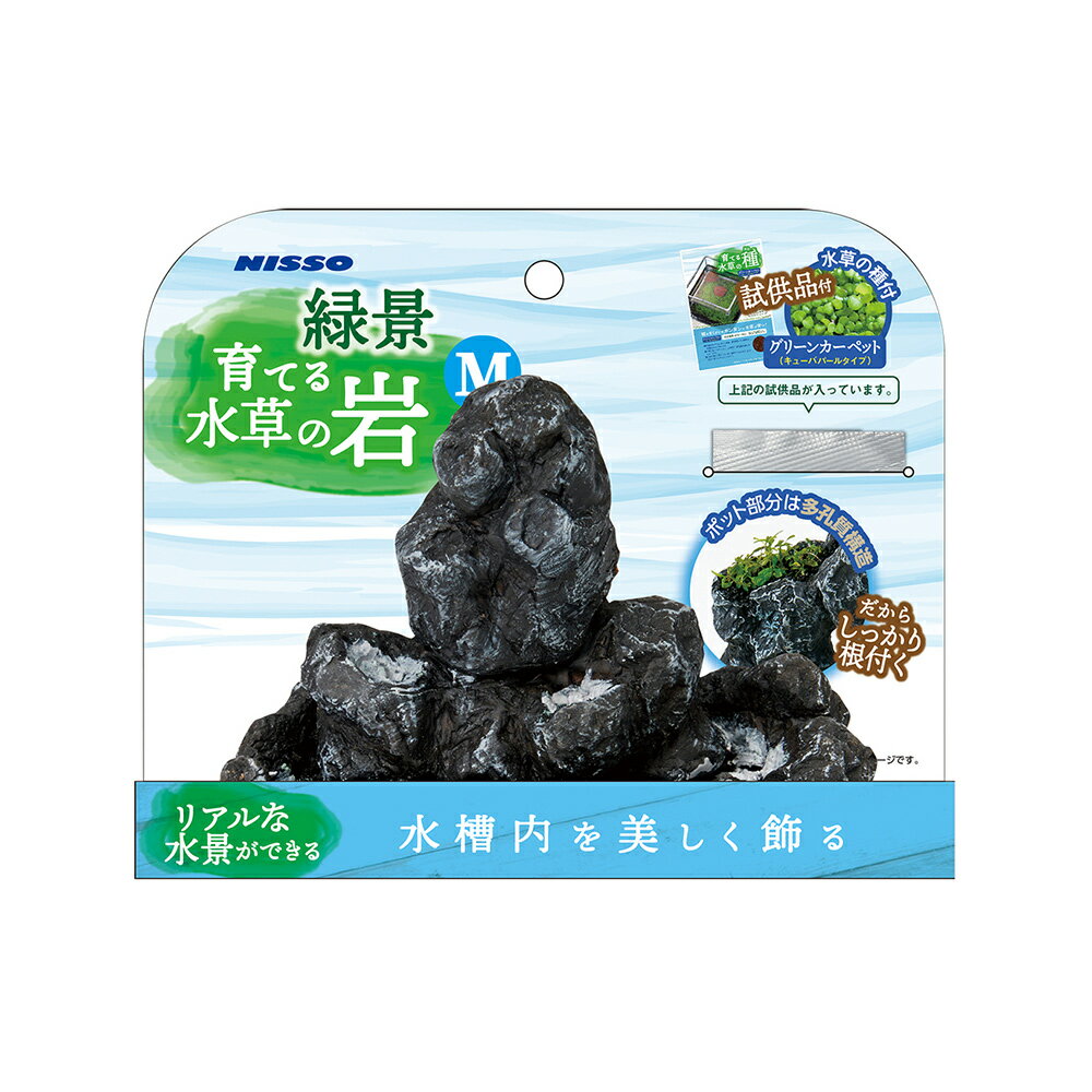 ��24�ĥ��åȡۥޥ륫�� �зʡ���Ƥ����δ�M