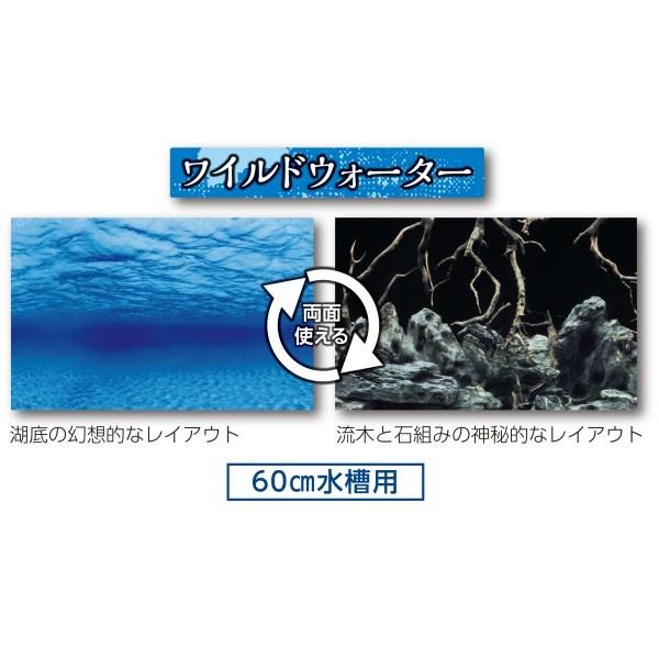 ��48�ĥ��åȡۼ����ݳ������ �ġ��������ե��ȥ����꡼�� �磻��ɥ�������?