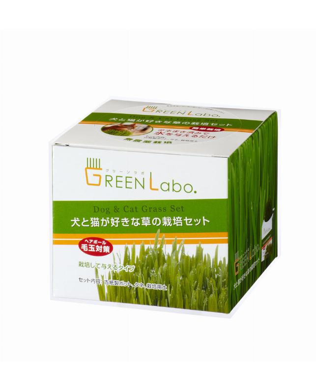 ��12�ĥ��åȡ�ͭ�²�ҥ����९�ꥨ���� ����ǭ����������κ��ݥ��å�