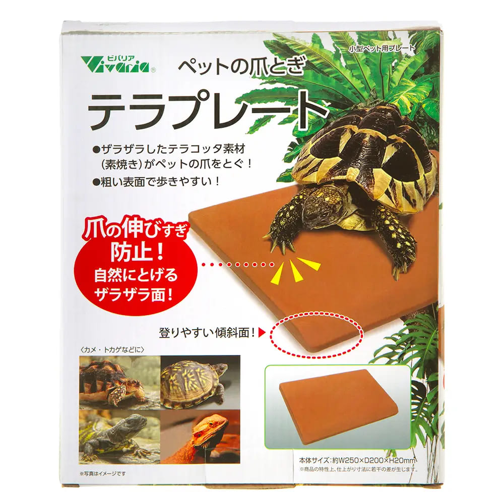 ��2�ĥ��åȡۥӥХꥢ �ƥ�ץ졼��