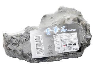 ��10�ĥ��åȡۿ�Ȫ�ܵ������������ �������ꥦ����å����Ĳ���